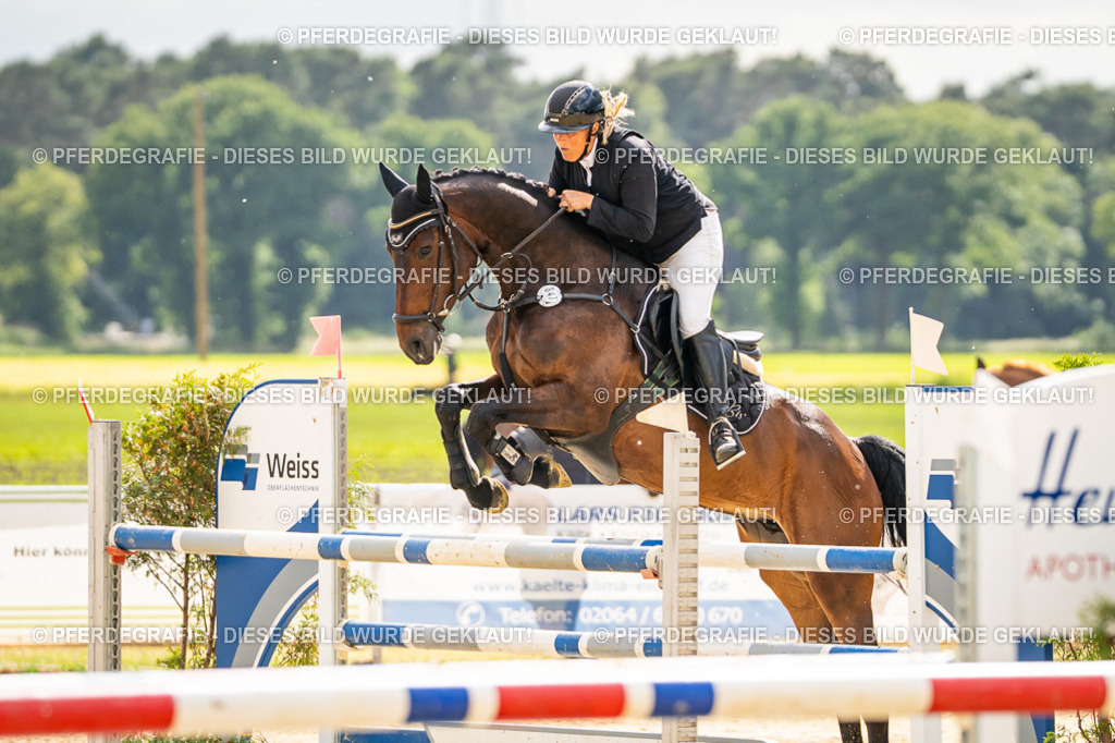 DSC05949 | Pferdegrafie