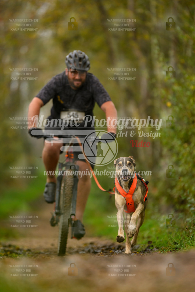 MompixPhotography_20TSB_E6_Bike-100 | PayLife