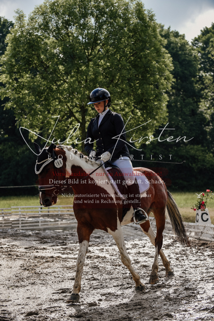DSC_8732 | Pferde- und Turnierfotografie in Westsachsen. Pferdeportraits, Auftragszeichnungen und intuitive Kunst.
