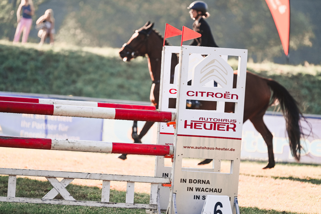 DSC_4301 | Pferde- und Turnierfotografie in Westsachsen. Pferdeportraits, Auftragszeichnungen und intuitive Kunst.