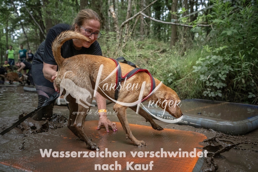 1204_ZZ96858T | kk-dogfotos