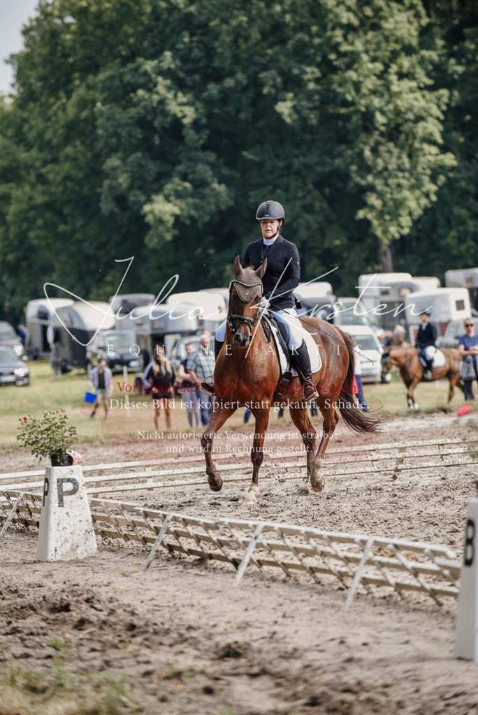 DSC_9300 | Pferde- und Turnierfotografie in Westsachsen. Pferdeportraits, Auftragszeichnungen und intuitive Kunst.
