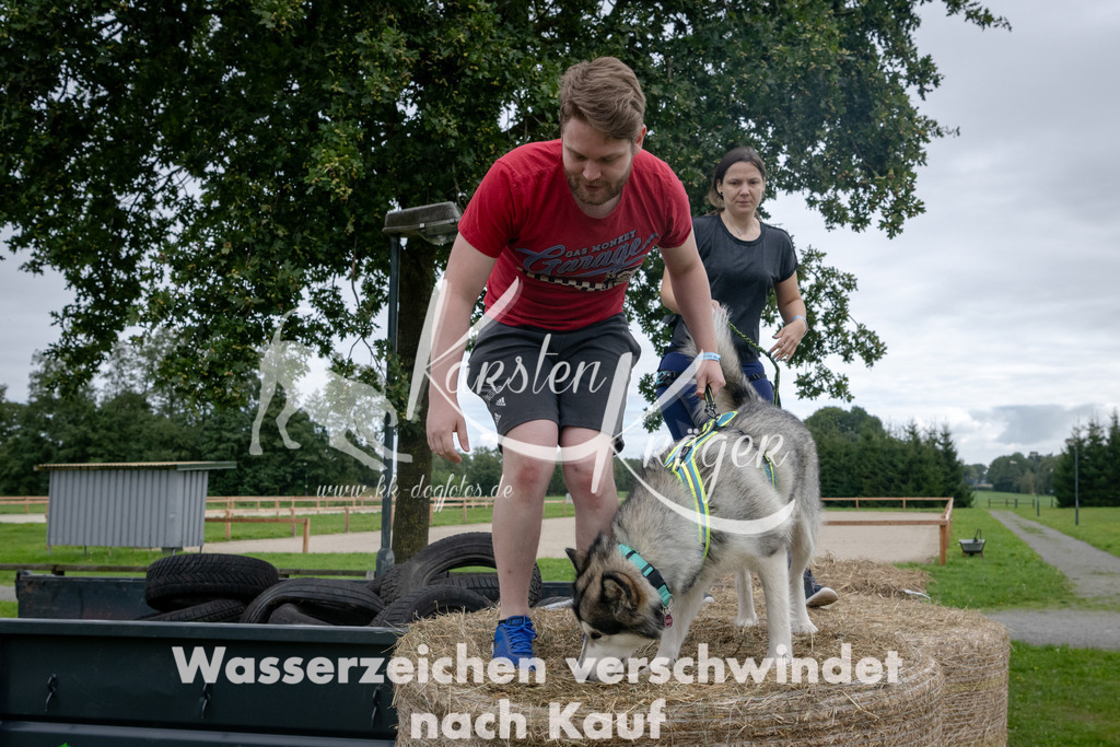 1219_ZZ90287 | kk-dogfotos