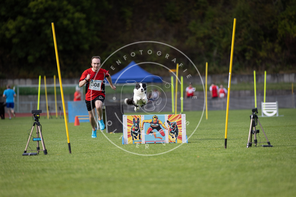 Pfotenfotografie_DV3A1432 | Hundefotografie, Tierfotograf, Pfotenfotografie, Fotoshooting Hund, Hunde Portrait, Hundesport, Hundeportraits, Heideshooting, Hunde, Sportfotograf, Hundefotograf, Turnierhundsport, THS,  - Realisiert mit Pictrs.com