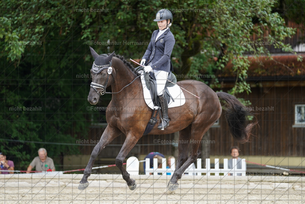 20230826-FAH05232 | Forstinning, 2023, Dressurturnier, Turniersportbilder, Turnierfotografen Bayern, Fotoagentur Herrmann, Reitsportfotografie, Turnierbilder