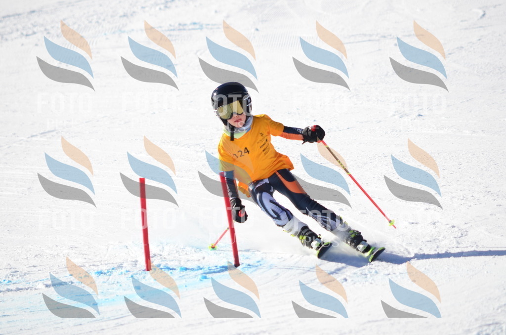 C6377 | holidayphoto