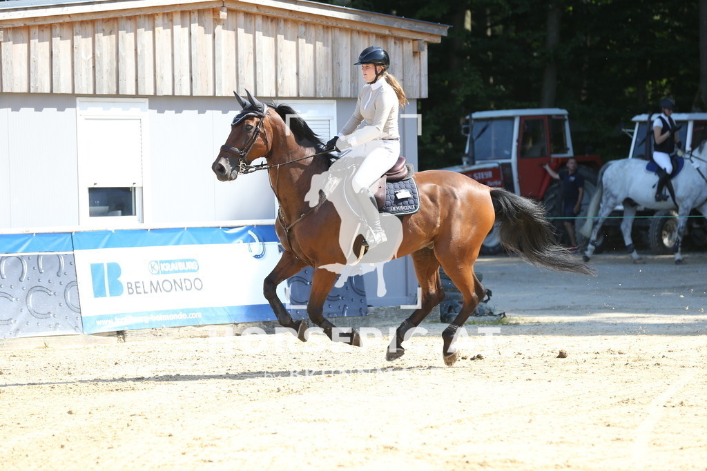 DL2Q4710 | Willkommen bei Brunnmayr - Design & Fotografie – Ihrem Spezialisten für Reitturniere und Pferdeveranstaltungen in Oberösterreich, Salzburg und Bayern! Seit über 17 Jahren sind wir leidenschaftlich dabei.