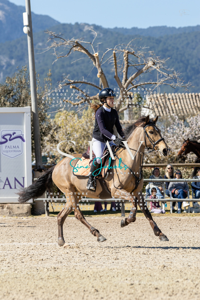 IMG_0266 | s-jay-photography - Realisiert mit Pictrs.com