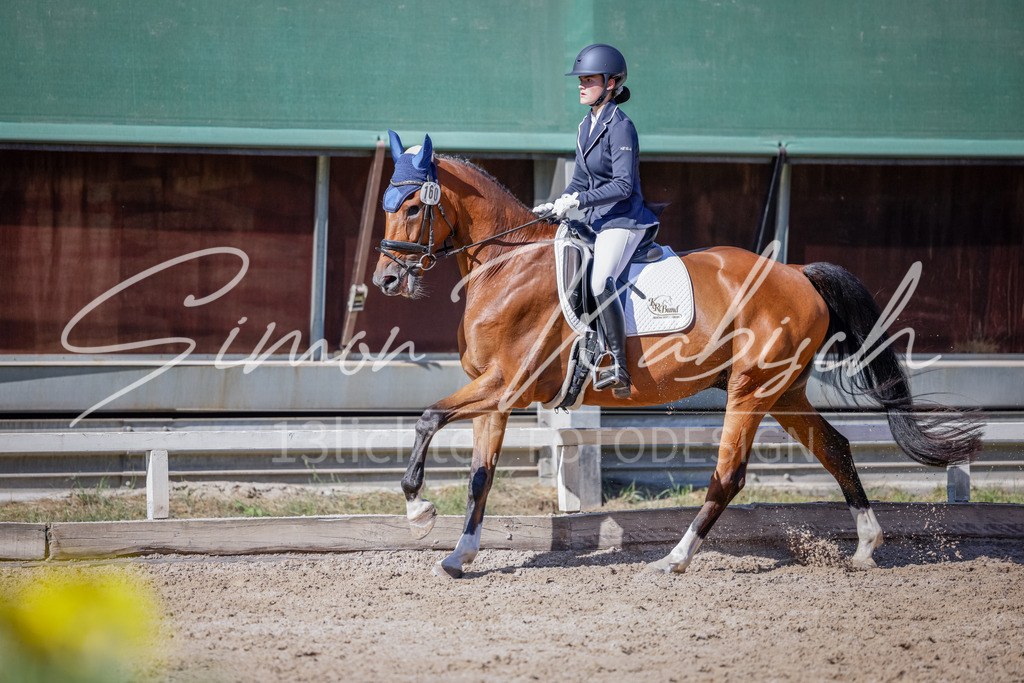 20250906-_3LI3488 | Tierfotografie Pferde, Hunde, Katzen, Haustiere.
Turnierfotografie Reitturniere, Reiten, Springreiten, Dressur in Hanau, dem Main-Kinzig-Kreis und dem Rhein-Main- Gebiet um Frankfurt