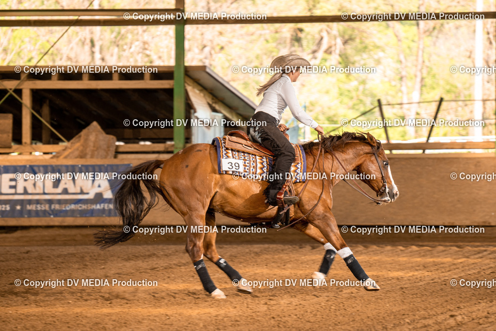 Balingen Tag 5-1000 | dv-media-shop - Realisiert mit Pictrs.com