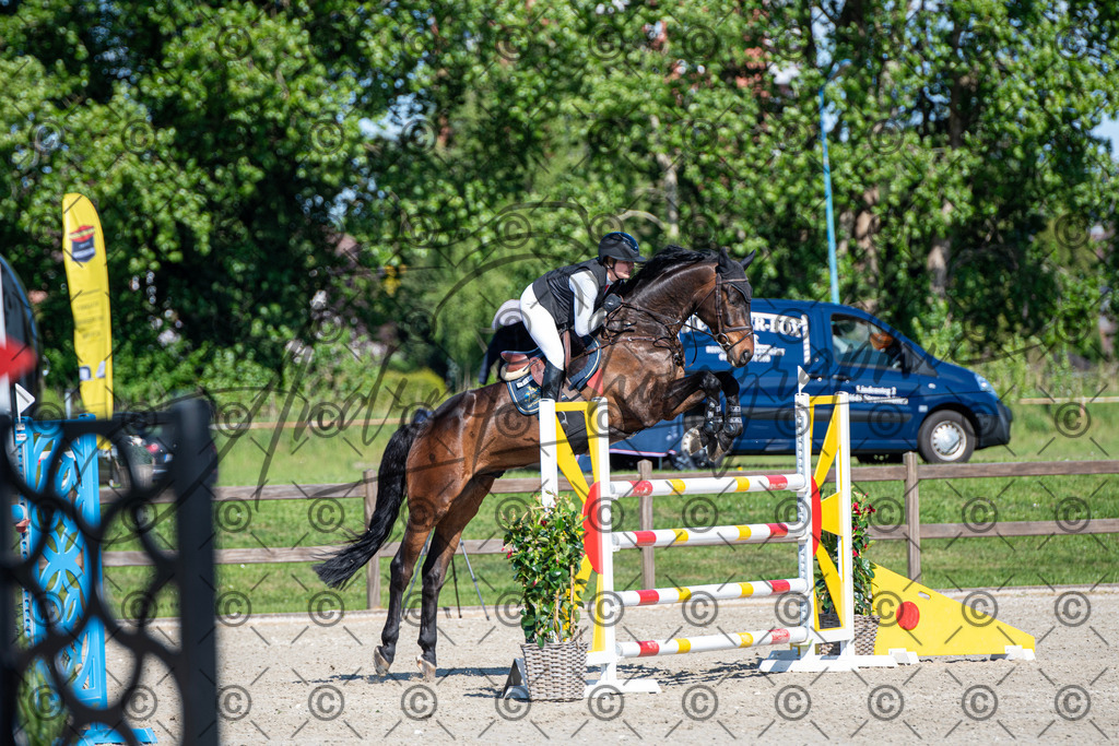 KPT_1695 | andre_photographic