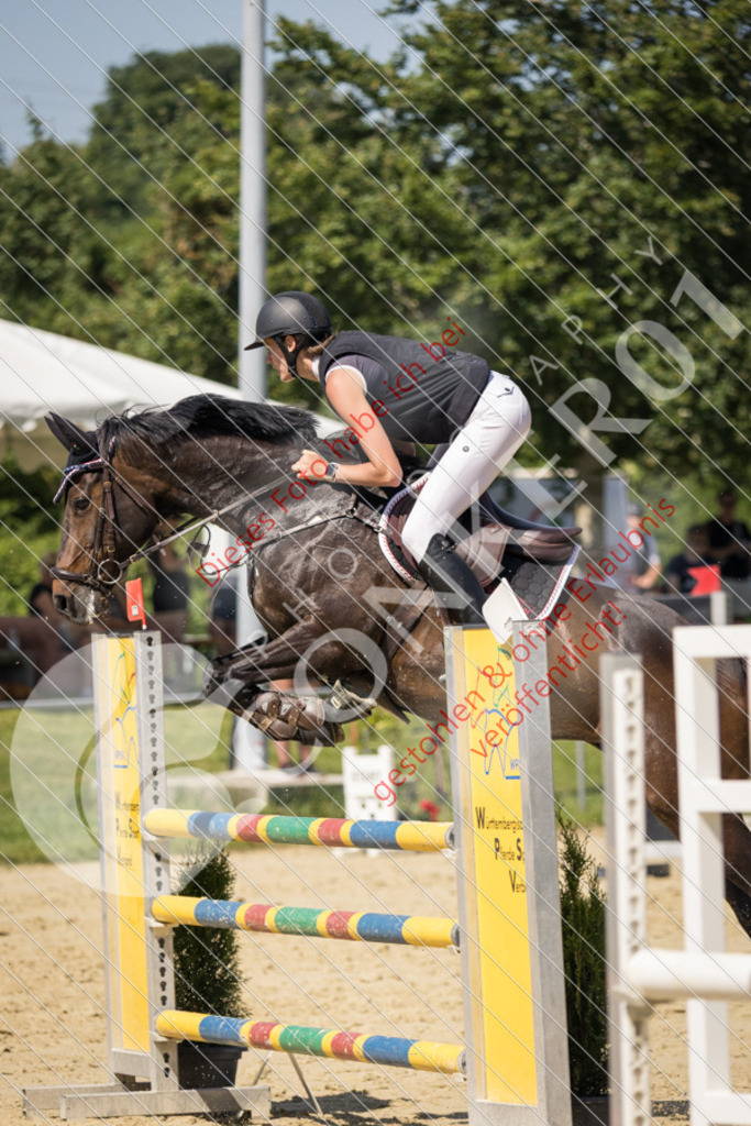 IMG_9908 | Sport-, Event- und Tierfotos in Profiqualität. Einfach auswählen, bestellen und herunterladen. Dein Moment – perfekt festgehalten.