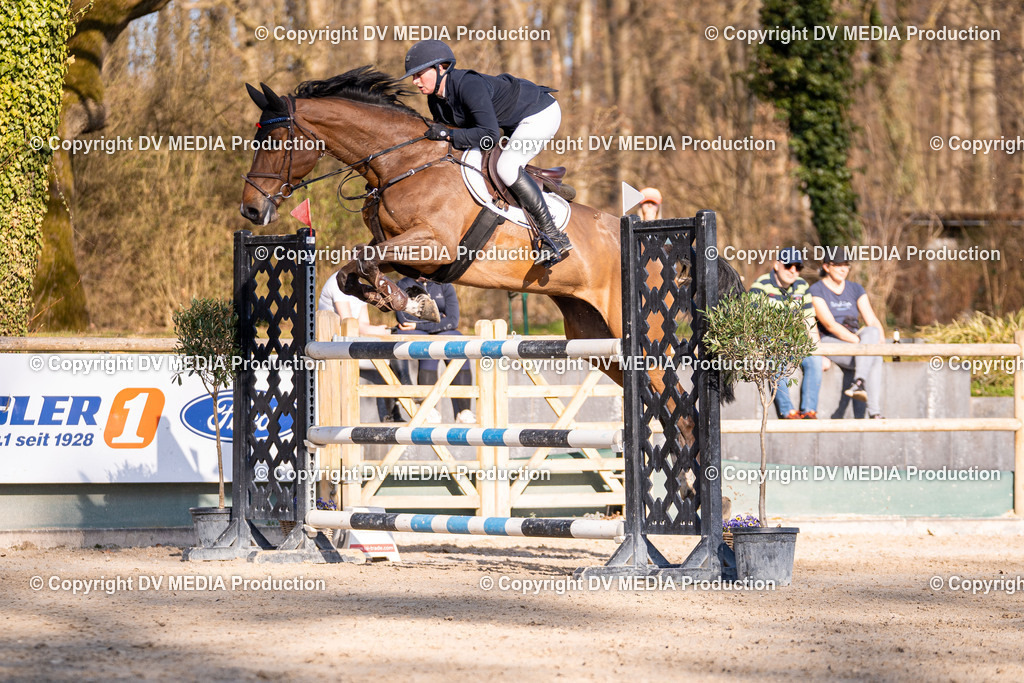 Kranichstein Tag 2-0903 | dv-media-shop - Realisiert mit Pictrs.com