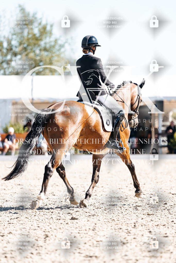 CK909249 | Turnierfotografie Pferdefotografie Trier Rheinland-Pfalz Pferdesport Reitsport Tierfotografie Sportfotografie Pferdevideo Pferdevideografie Equestrianvideography equestrianphotography  - Realisiert mit Pictrs.com