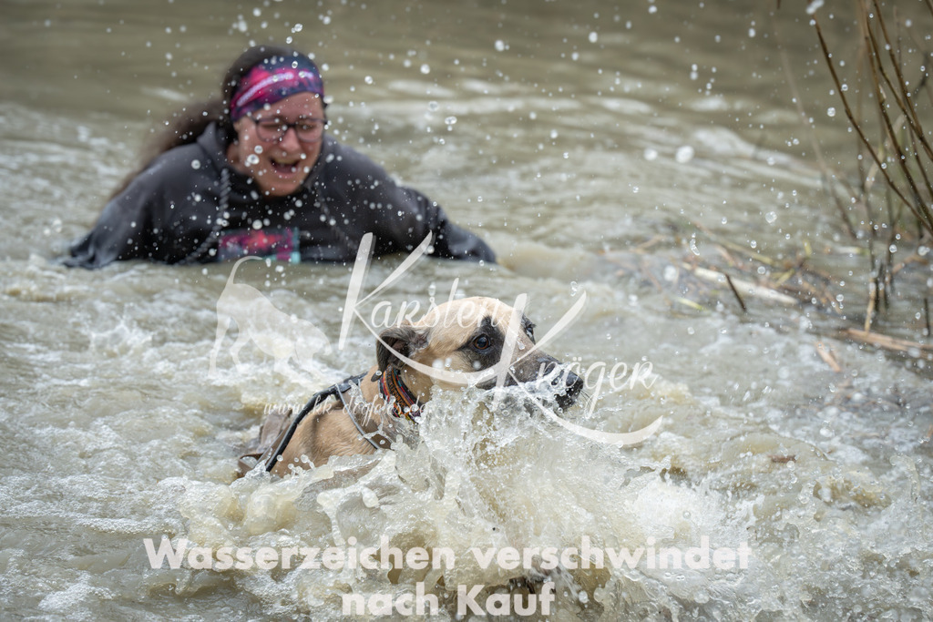 1637_ZZ96060 | kk-dogfotos