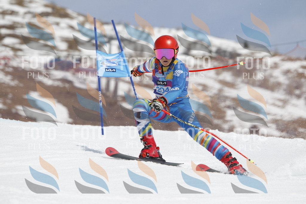 _U3G2115 | holidayphoto