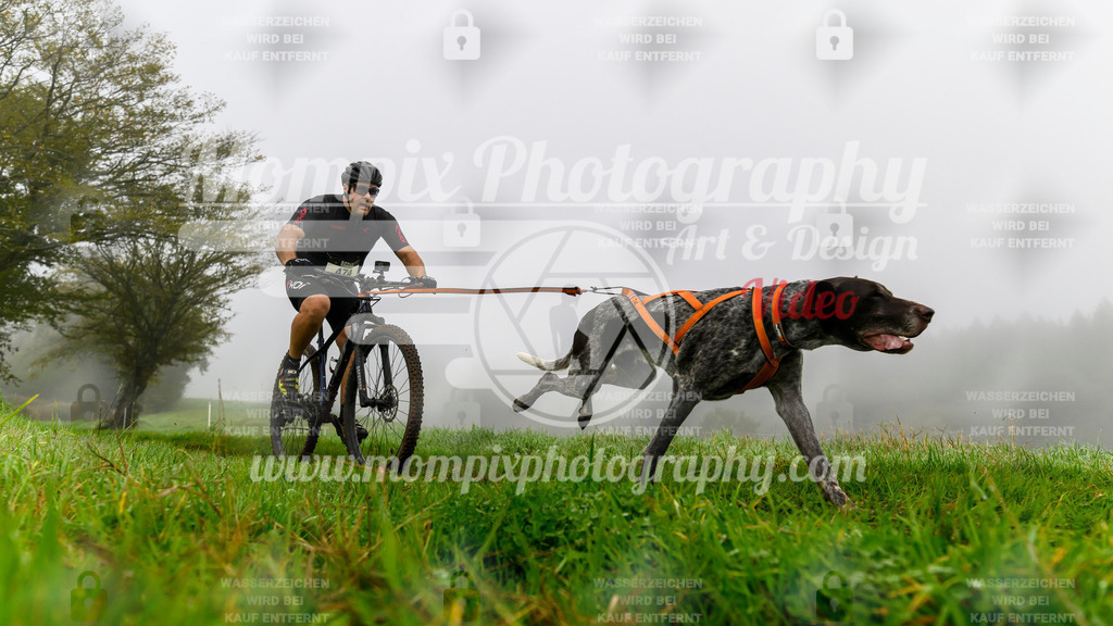 MompixPhotography_20TSB_E5_Bike-89 | PayLife