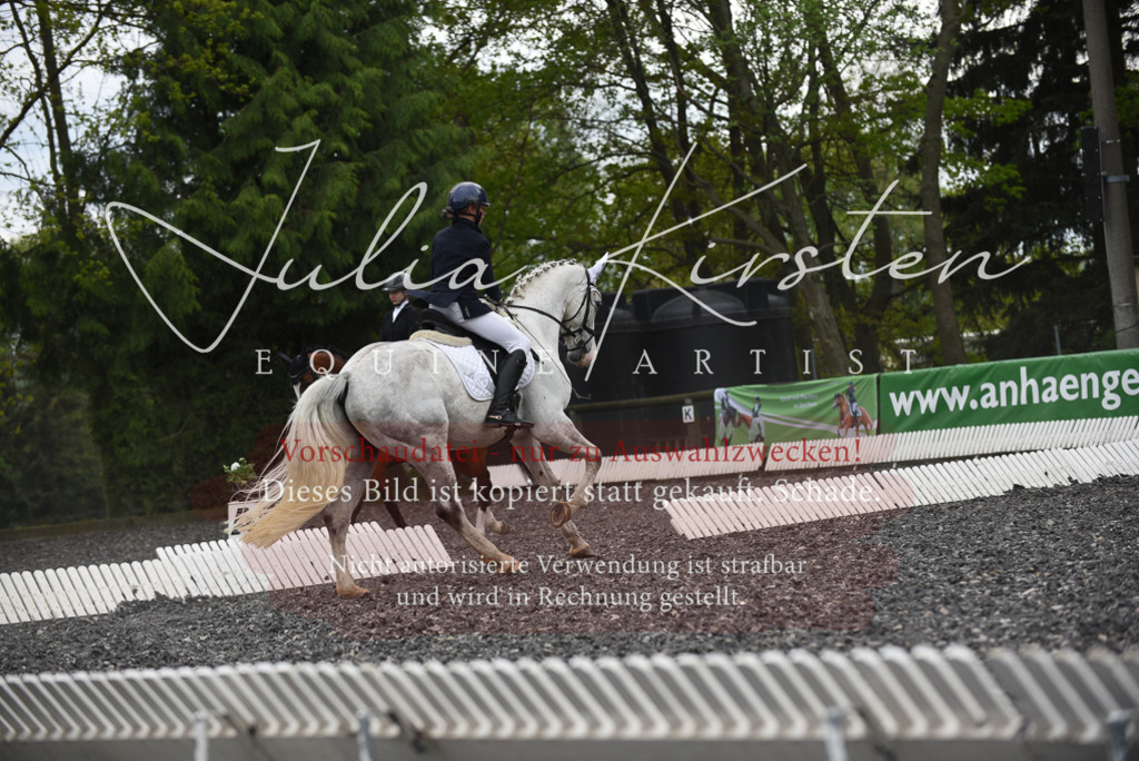 20230513_JK-Röhrsdorf-16-031 | Pferde- und Turnierfotografie in Westsachsen. Pferdeportraits, Auftragszeichnungen und intuitive Kunst.