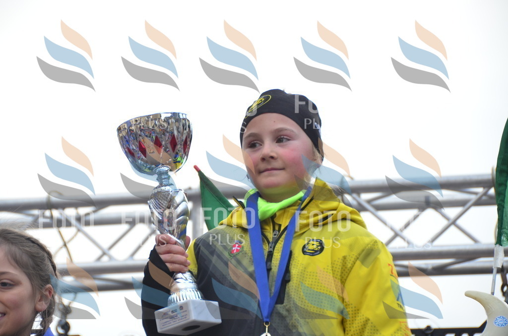 _DSC2710 | holidayphoto