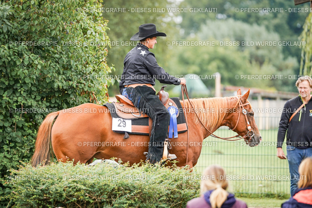 DSC03990 | Pferdegrafie