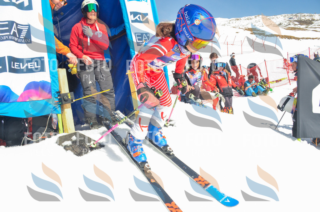 _ELE5870 | holidayphoto