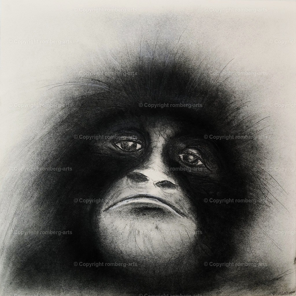 L1020049 (2) | romberg-arts, romberg-arts.de, www.romberg-arts.de, Foto_Online_Shop, Julia Fuhrmann, Köln, Fotos, Fotografie, Fotokunst, Kunstdrucke, Naturfotos, Aktfotos, Nacktfotos, schwarz_weiß_Fotos, Blumenfotos, Blumen, Tiere, Beton, Korrosion, Lächeln, Drucke