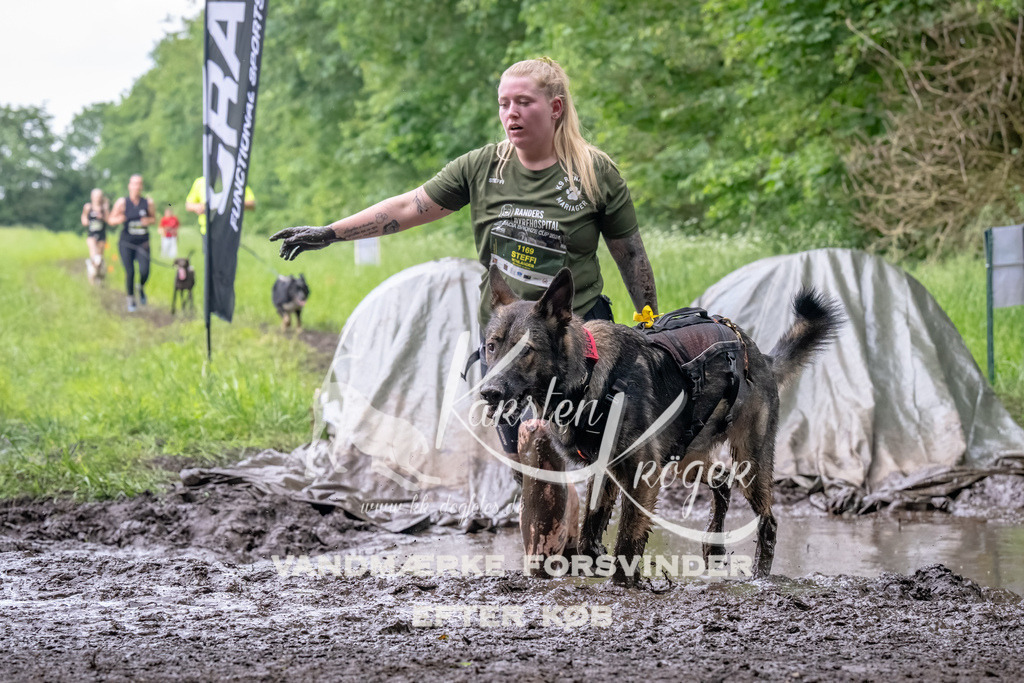 1617_ZZ93096-Bearbeitet | kk-dogfotos