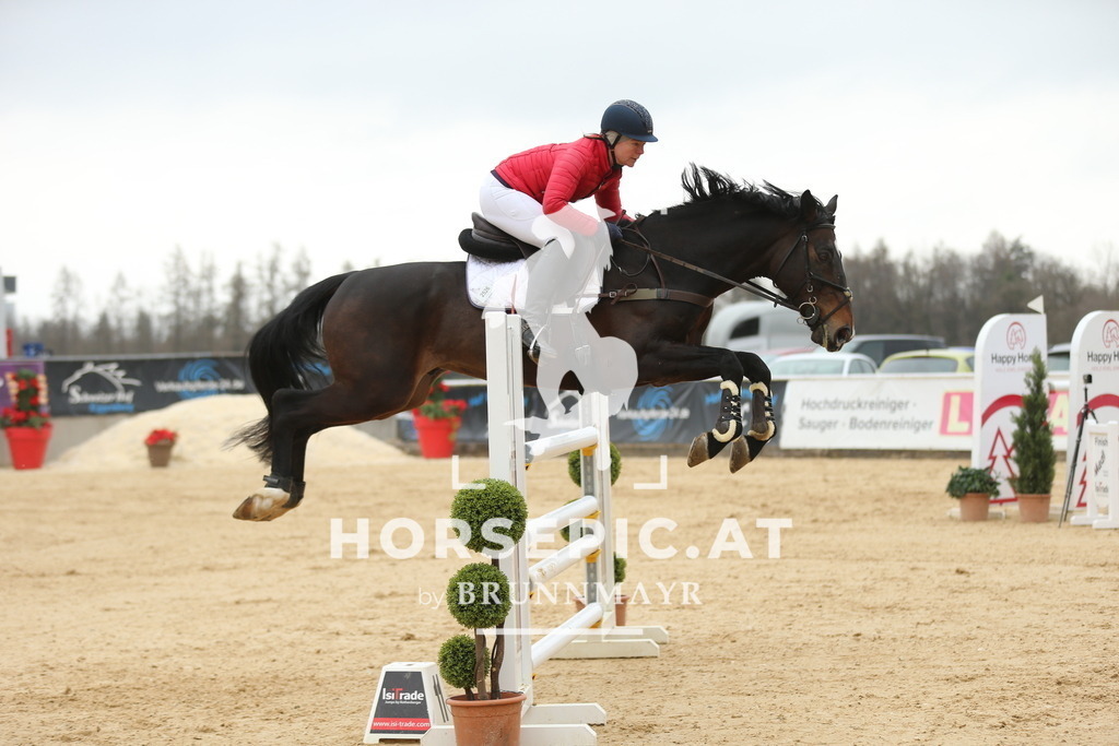 DL2Q5724 | Willkommen bei Brunnmayr - Design & Fotografie – Ihrem Spezialisten für Reitturniere und Pferdeveranstaltungen in Oberösterreich, Salzburg und Bayern! Seit über 17 Jahren sind wir leidenschaftlich dabei.