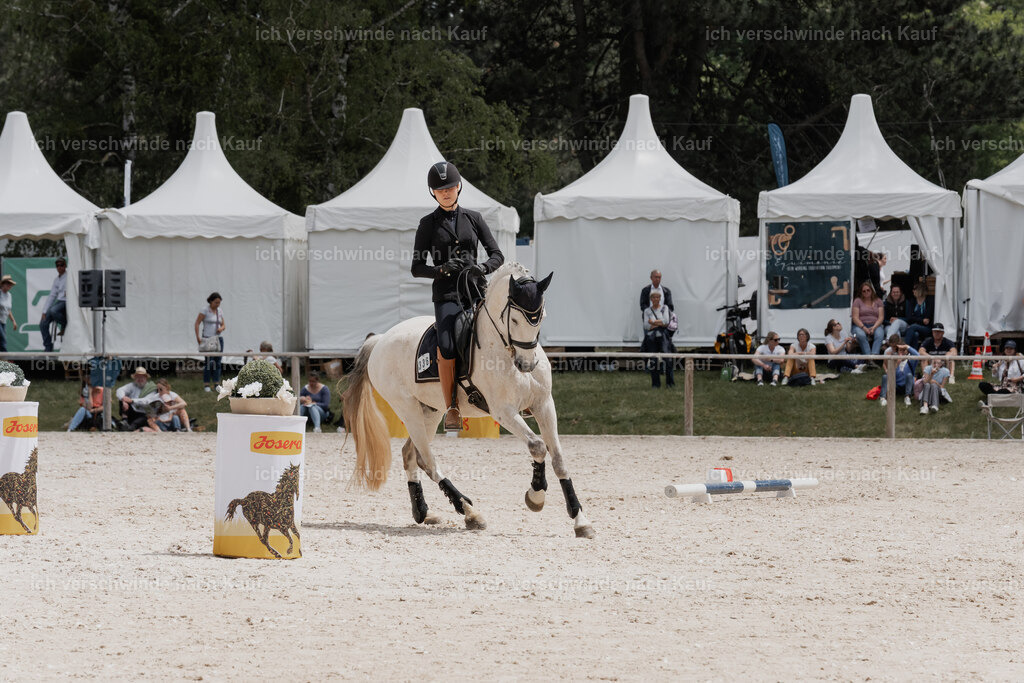 WE_ST_Stoib_336_PI2025_1118 | Pferd International München 2025