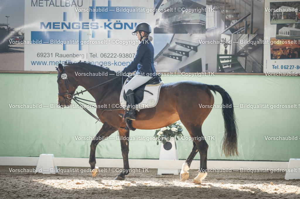 _D5A8912 | Emotionale Pferde- & People-Fotografie rund um Heidelberg, Leimen & Umgebung. Natürliche Fotos von Pferd, Mensch & Familie. Jetzt Termin sichern!