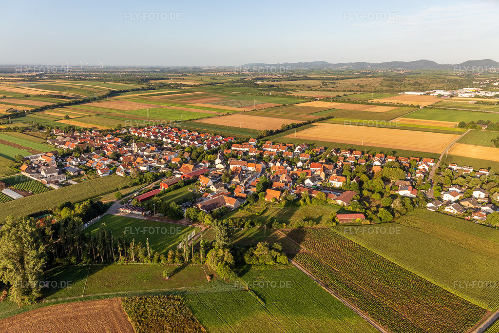 Luftbild: Ortsansicht mit Rasenplatz des SV Mörlheim 1964 e.V. von Nordosten im Ortsteil Mörlheim in Landau im Bundesland Rheinland-Pfalz in Deutschland. Foto: IMG_116638.jpg vom 11.08.2019 durch Werner Riehm/FLY-FOTO.de