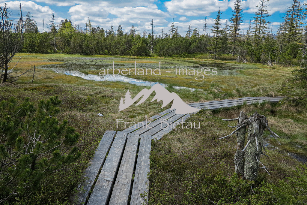 IMG_2099 | Medien- Sport- Entertainmentfotos