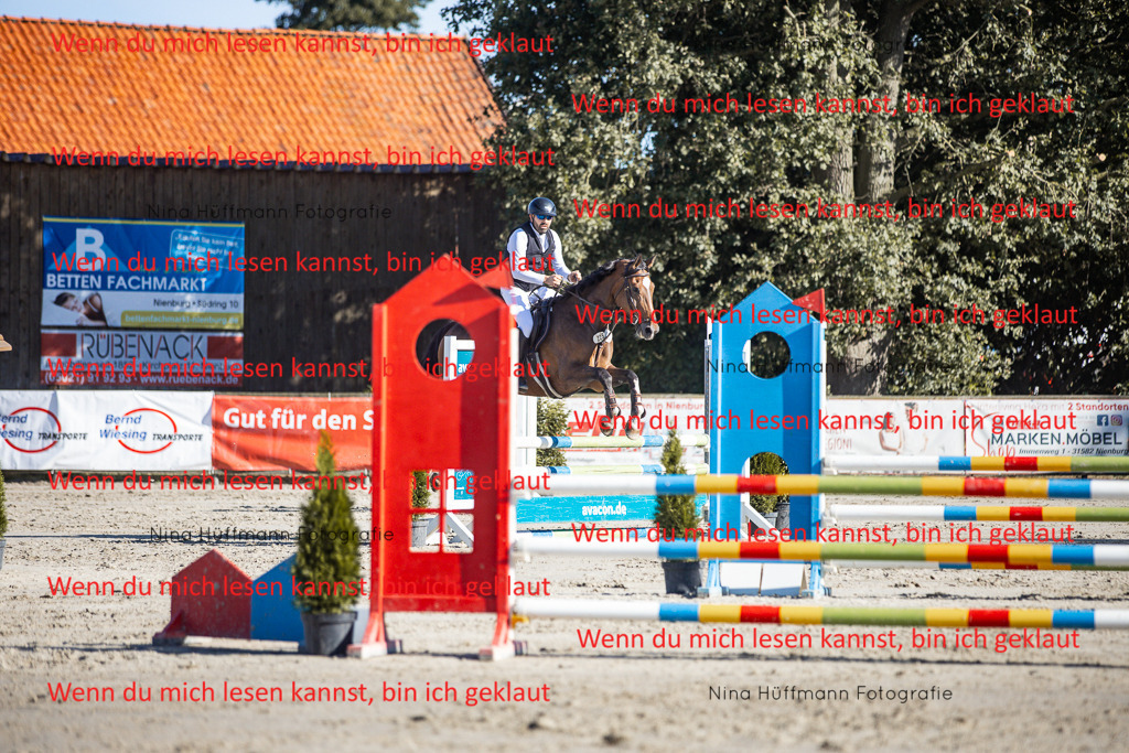 BK1A7465 | Turnierbilder Turnierfotos Nina Hüffmann Turnierfotografie Pferdefotografie Tierzeichnung Haustierzeichnung Pferdezeichnung Hundezeichnung Videograf  - Realisiert mit Pictrs.com