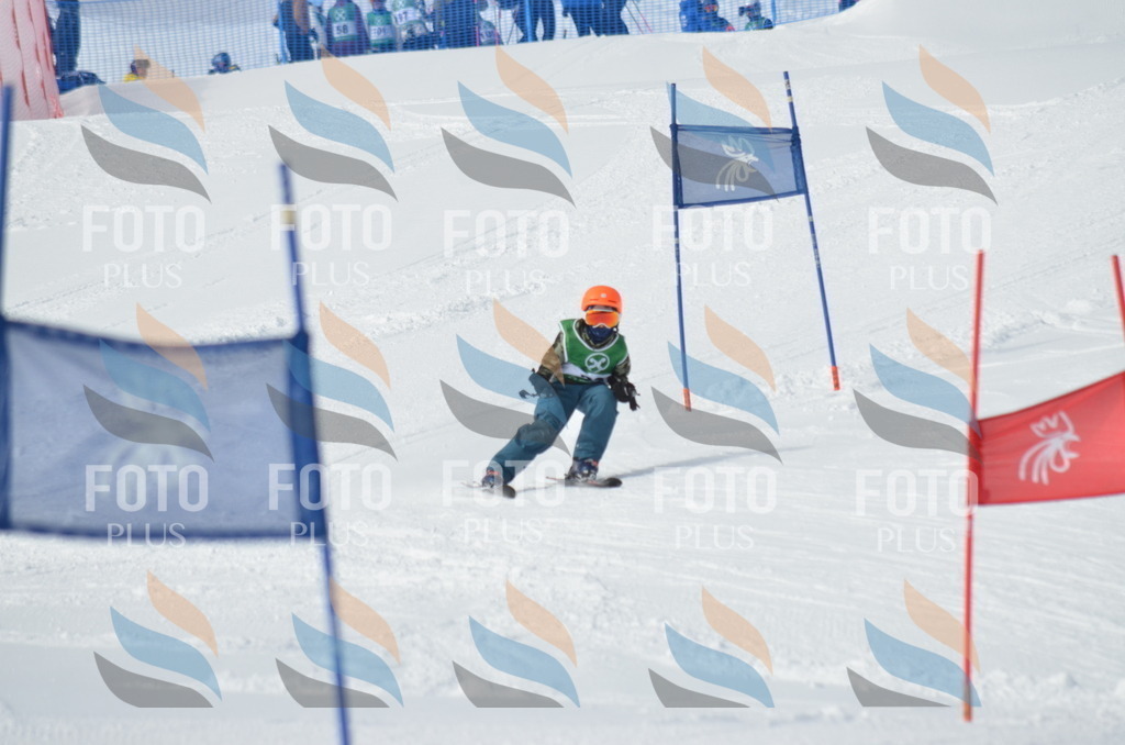 D8617 | holidayphoto