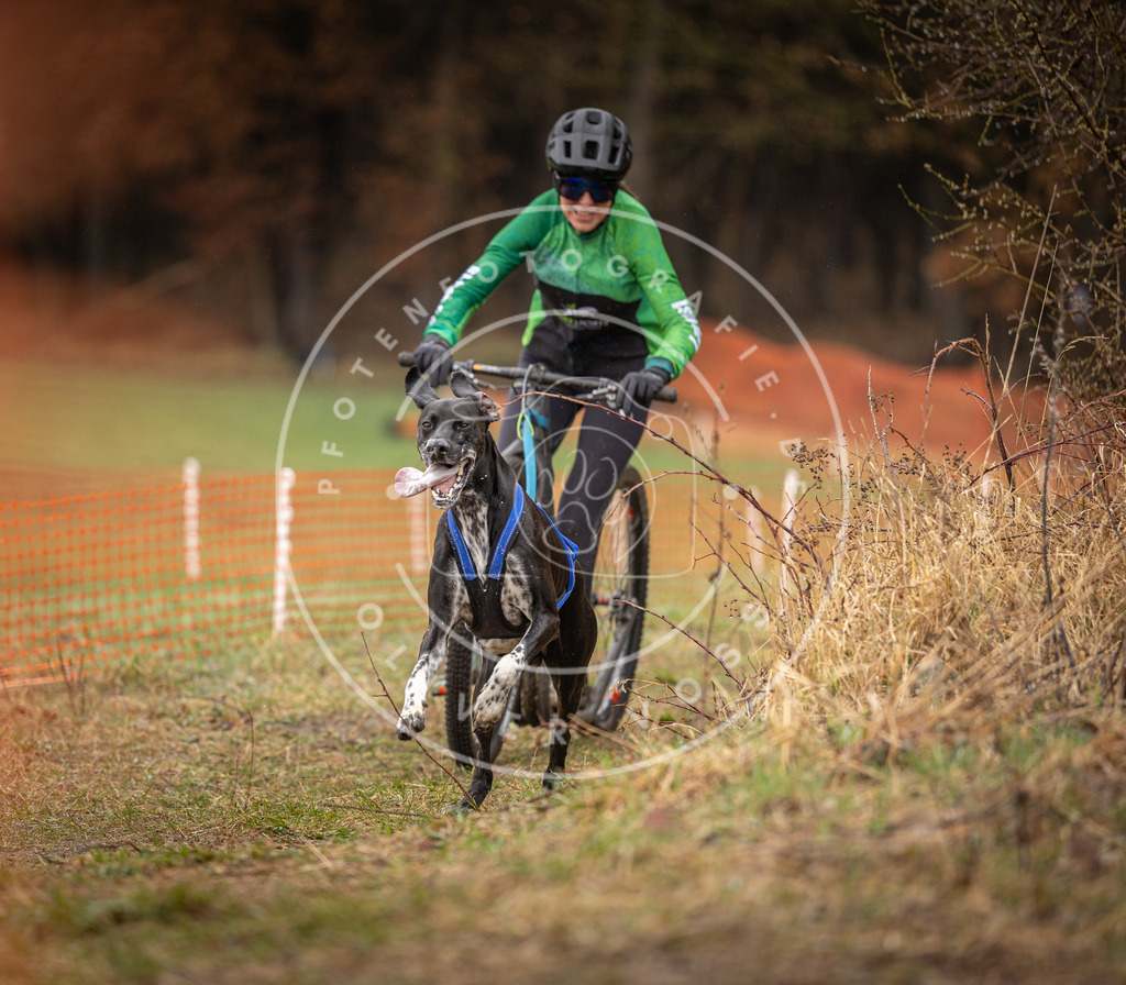 DV3A9337 | Hundefotografie, Tierfotograf, Pfotenfotografie, Fotoshooting Hund, Hunde Portrait, Hundesport, Hundeportraits, Heideshooting, Hunde, Sportfotograf, Hundefotograf, Turnierhundsport, THS,  - Realisiert mit Pictrs.com