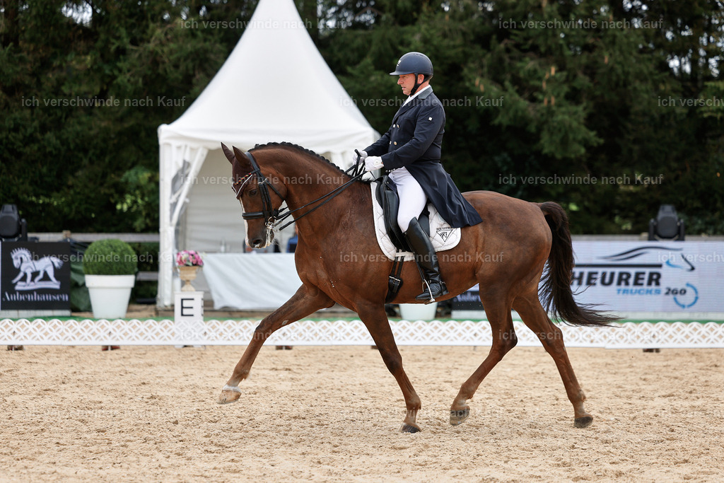 11-092-Dressur S___-StoibPH-1317 | working equitationturnier fotograf videograf stoibphotography marixx film working equitation deutschland reitsport turnierfotografie eventfotografie equestrian events
