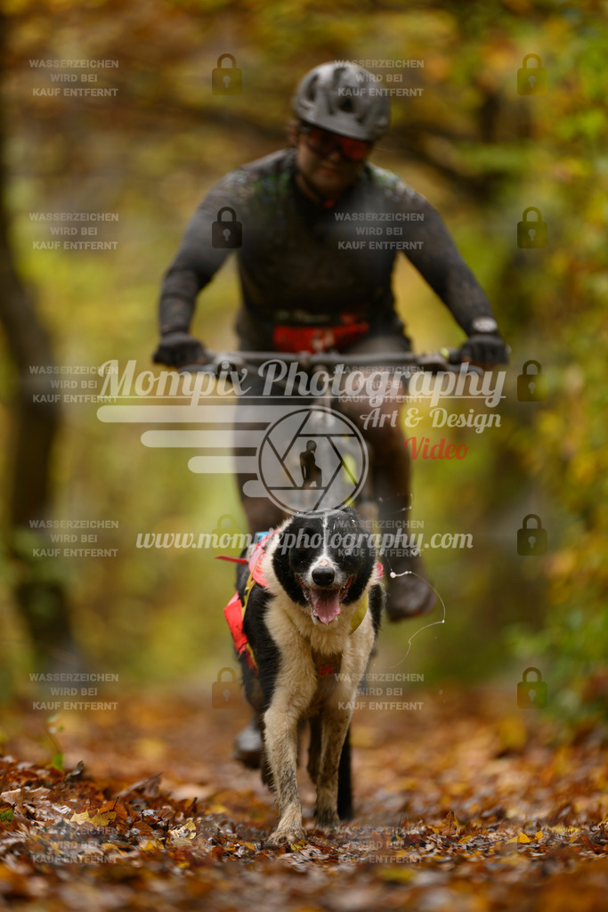 MompixPhotography_CD7S_DI_Bike-84 | mompixphotography