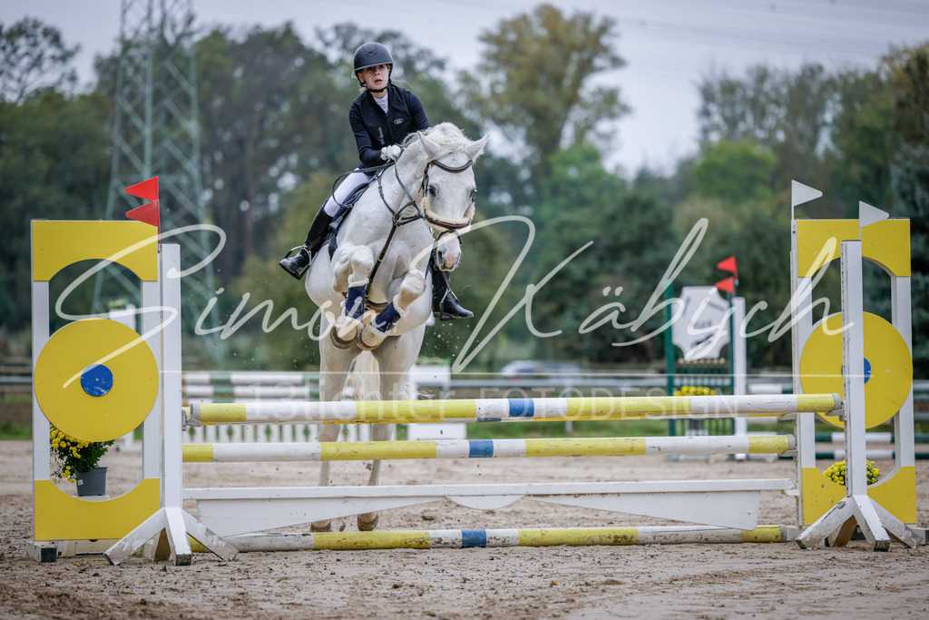 20251012-_3LI3206 | Tierfotografie Pferde, Hunde, Katzen, Haustiere.
Turnierfotografie Reitturniere, Reiten, Springreiten, Dressur in Hanau, dem Main-Kinzig-Kreis und dem Rhein-Main- Gebiet um Frankfurt