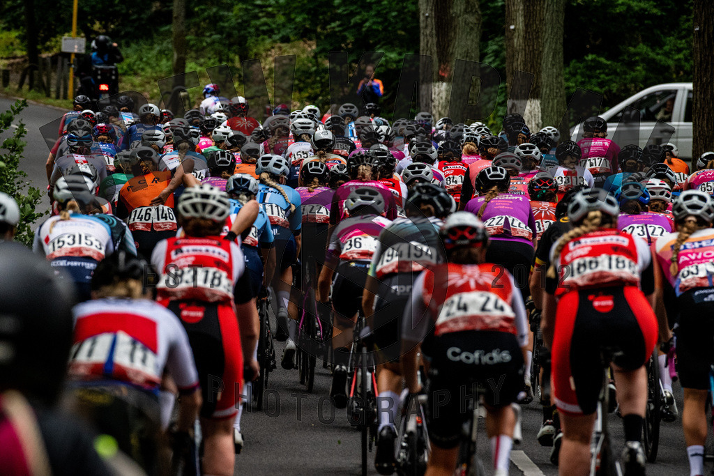 _DKP8069 | Drew Kaplan Photography