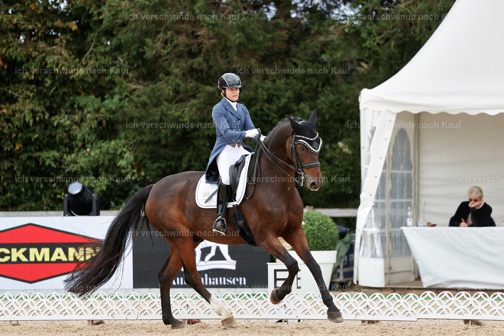 6-200-AMATUER-DRESSUR S_  -StoibPH-3529 | working equitationturnier fotograf videograf stoibphotography marixx film working equitation deutschland reitsport turnierfotografie eventfotografie equestrian events