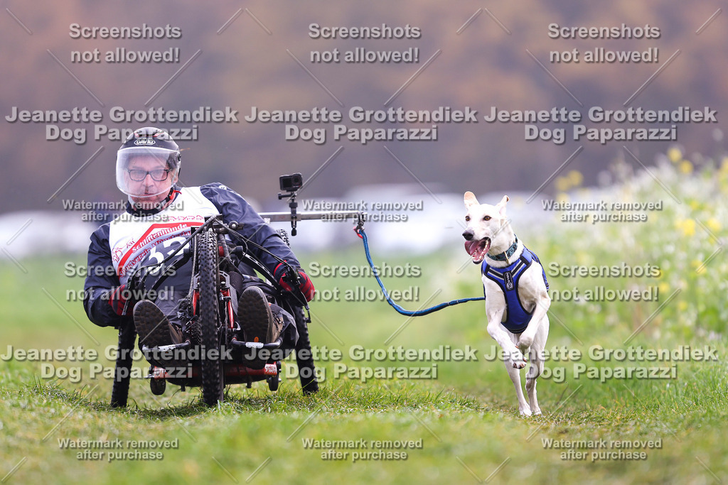Dog Paparazzi - Visbeck 25 -294 | Dog Paparazzi Jeanette Grottendiek Fotografie & Videografie - Realisiert mit Pictrs.com