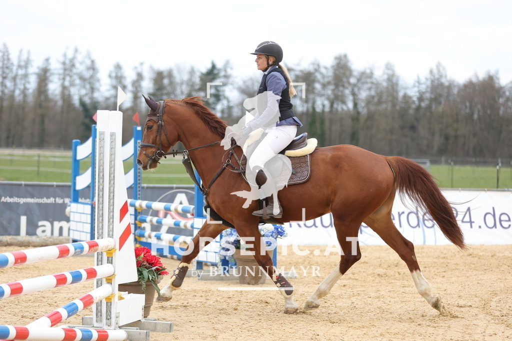 0P6A8055 | Willkommen bei Brunnmayr - Design & Fotografie – Ihrem Spezialisten für Reitturniere und Pferdeveranstaltungen in Oberösterreich, Salzburg und Bayern! Seit über 17 Jahren sind wir leidenschaftlich dabei.