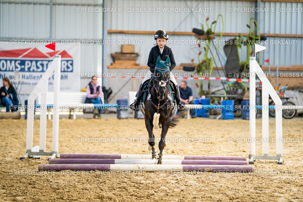 DSC01633 | Pferdegrafie