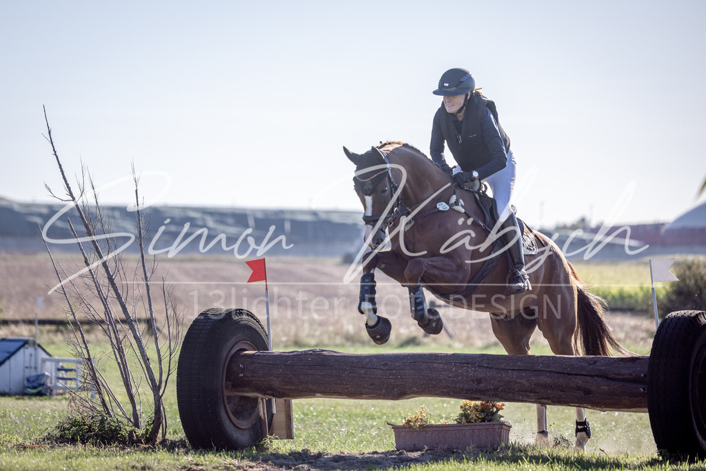 20260906-_3LI1253 | Tierfotografie Pferde, Hunde, Katzen, Haustiere.
Turnierfotografie Reitturniere, Reiten, Springreiten, Dressur in Hanau, dem Main-Kinzig-Kreis und dem Rhein-Main- Gebiet um Frankfurt