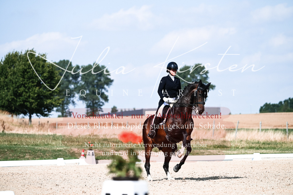 DSC_3390 | Pferde- und Turnierfotografie in Westsachsen. Pferdeportraits, Auftragszeichnungen und intuitive Kunst.