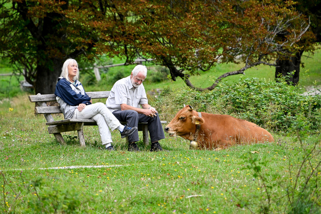 Vertraute Rast: Ein Moment stiller Verbundenheit | Ein Bild voller friedlicher Harmonie und ländlicher Idylle: Ein älteres Paar hat auf einer einfachen Holzbank am Wegrand Platz genommen, um innezuhalten. Direkt neben ihnen ruht eine braune Kuh mit einer traditionellen Glocke entspannt im saftigen Gras. Während der Mann den Blick nachdenklich senkt, schaut die Frau ruhig in die Ferne. Diese Aufnahme fängt die tiefe, wortlose Verbundenheit zwischen Mensch, Tier und Natur perfekt ein. Ein Moment der Entschleunigung, der die Seele berührt und zeigt, wie einfach pures Lebensglück sein kann. - Realisiert mit Pictrs.com