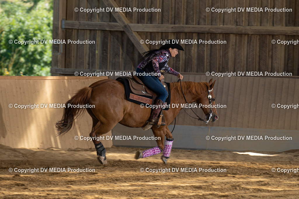 DSC00447 | dv-media-shop - Realisiert mit Pictrs.com