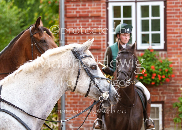 Jagd Knoop 26_MarinaHewigMCH02682 | Fotografie, FotoArt, PferdesportArt, Pferdesportfotografie, Landschaftsfotografie, Reisefotografie, Reise, Pferde - Realisiert mit Pictrs.com