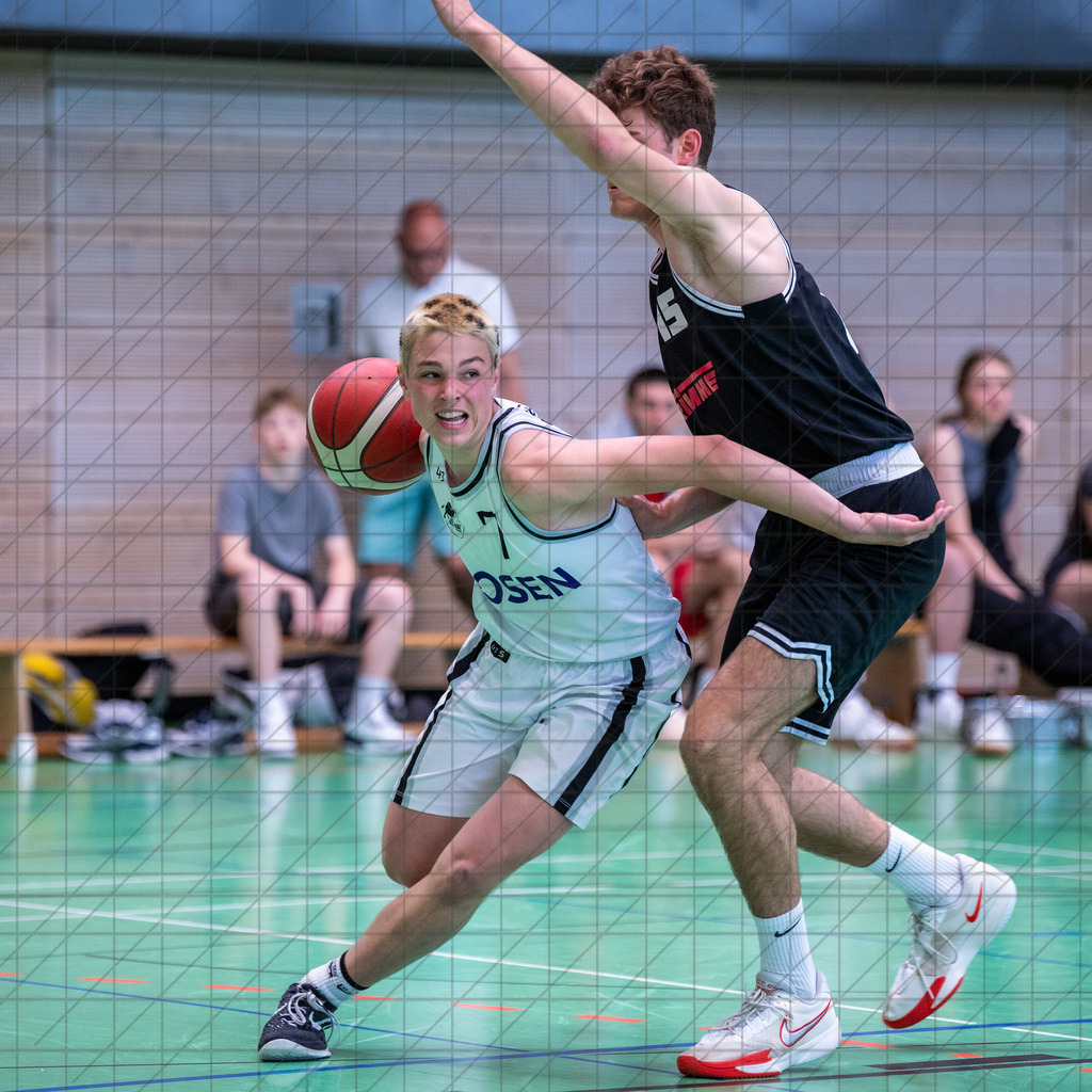 @Martin König_20240623__DSC2033 | bullenfotos|de - Realisiert mit Pictrs.com