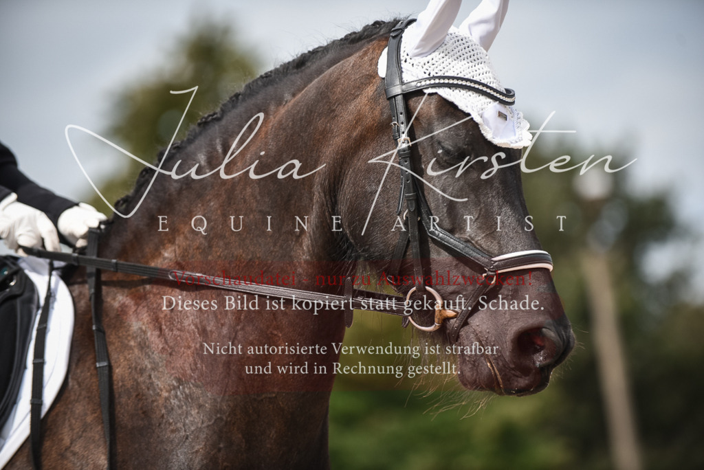 DSC_8587 | Pferde- und Turnierfotografie in Westsachsen. Pferdeportraits, Auftragszeichnungen und intuitive Kunst.